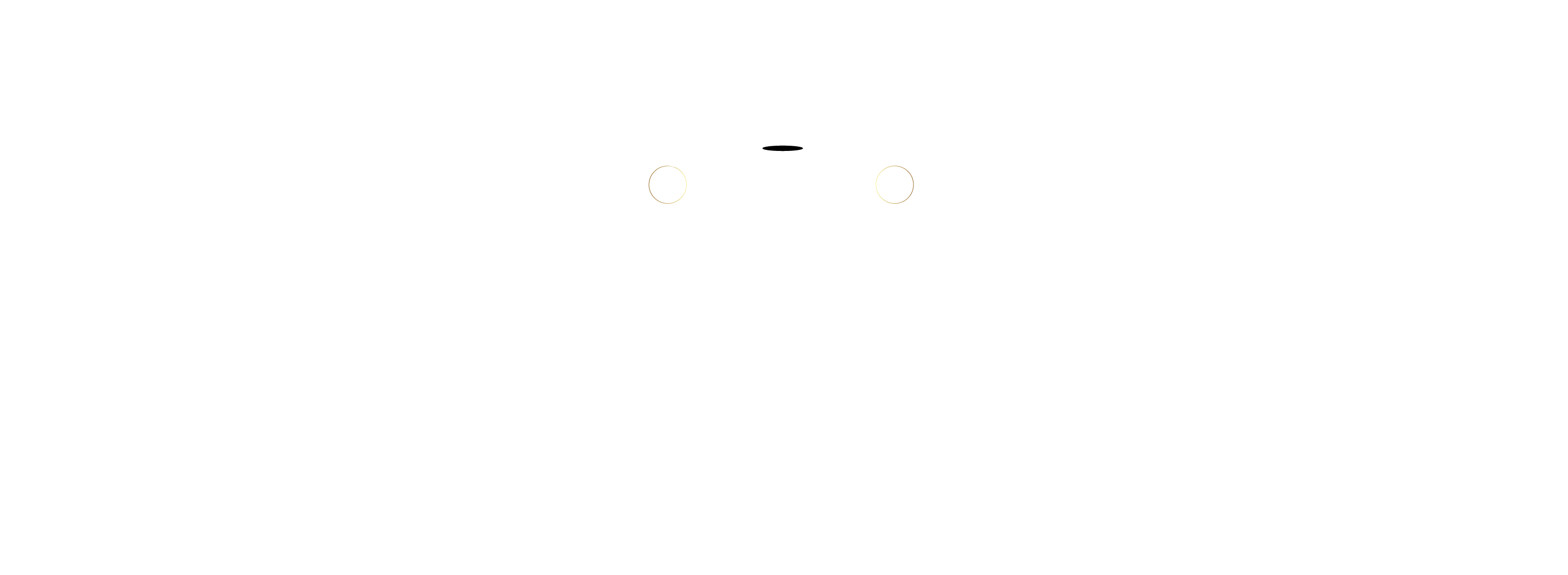 Y A Expo Holding